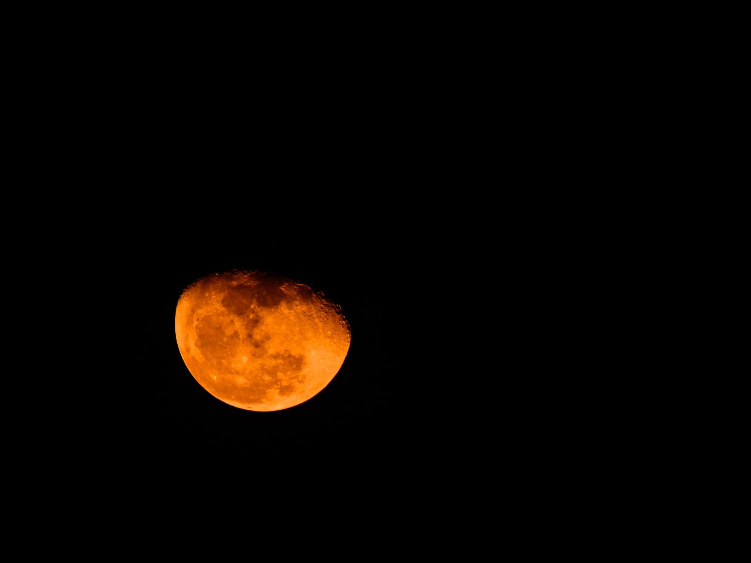 A harvest moon eclipse