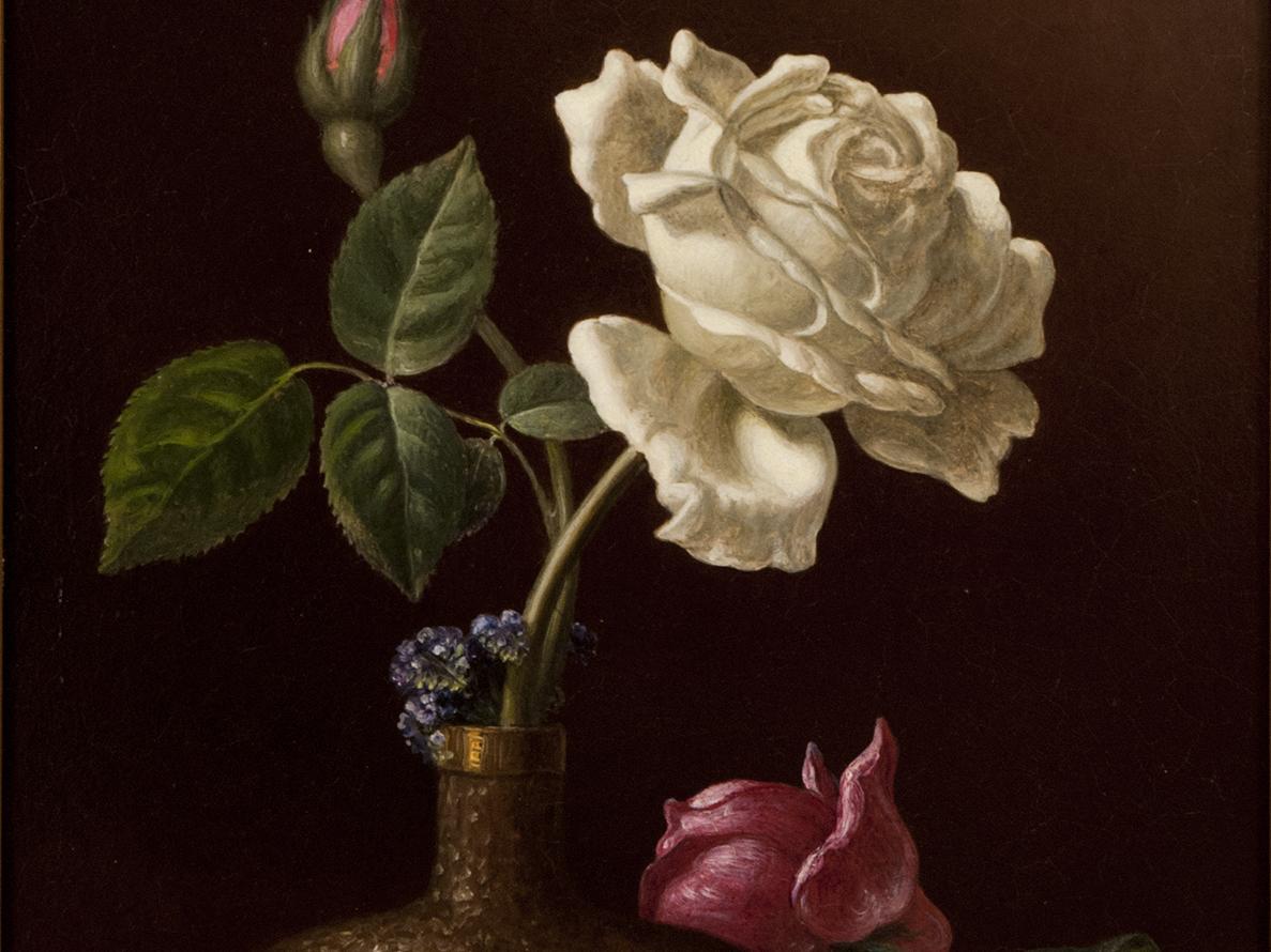 Martin Johnson Heade, "The White Rose", c. 1874–80.