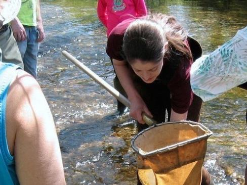 steward sampling 