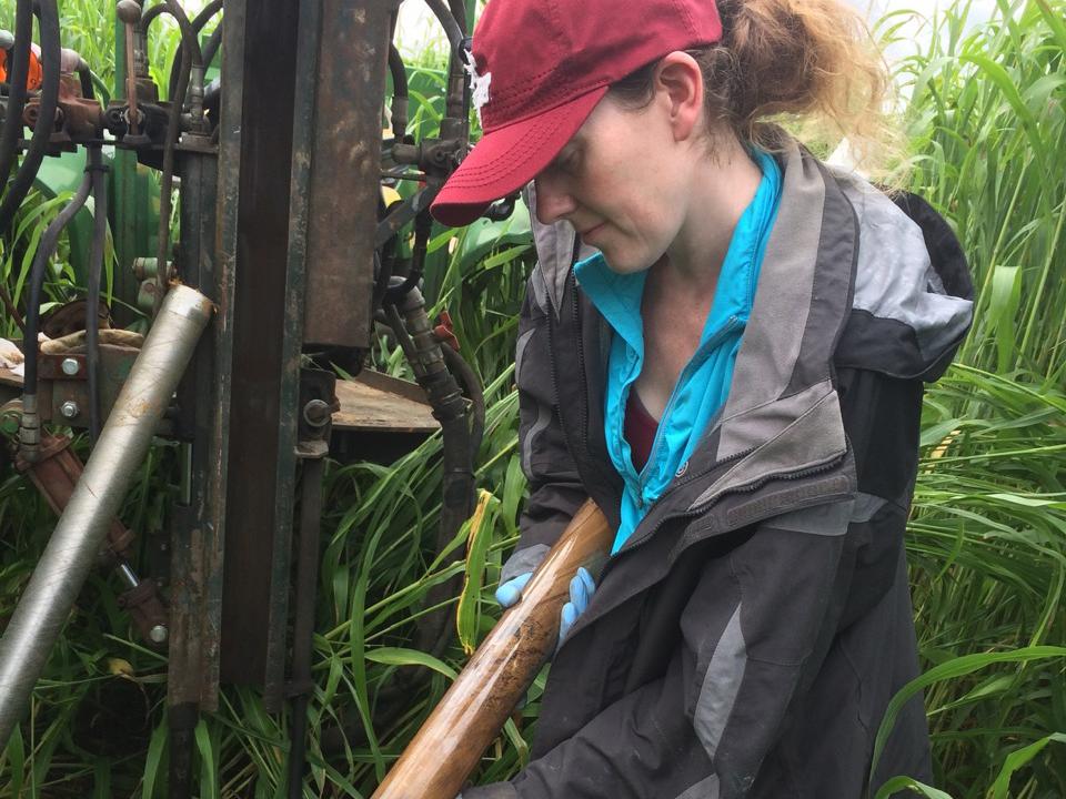 Franklin soil sampling