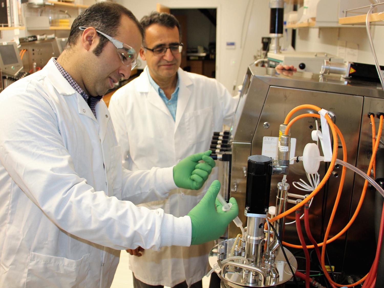 Mahdinia, Demirci, biofilm reactor
