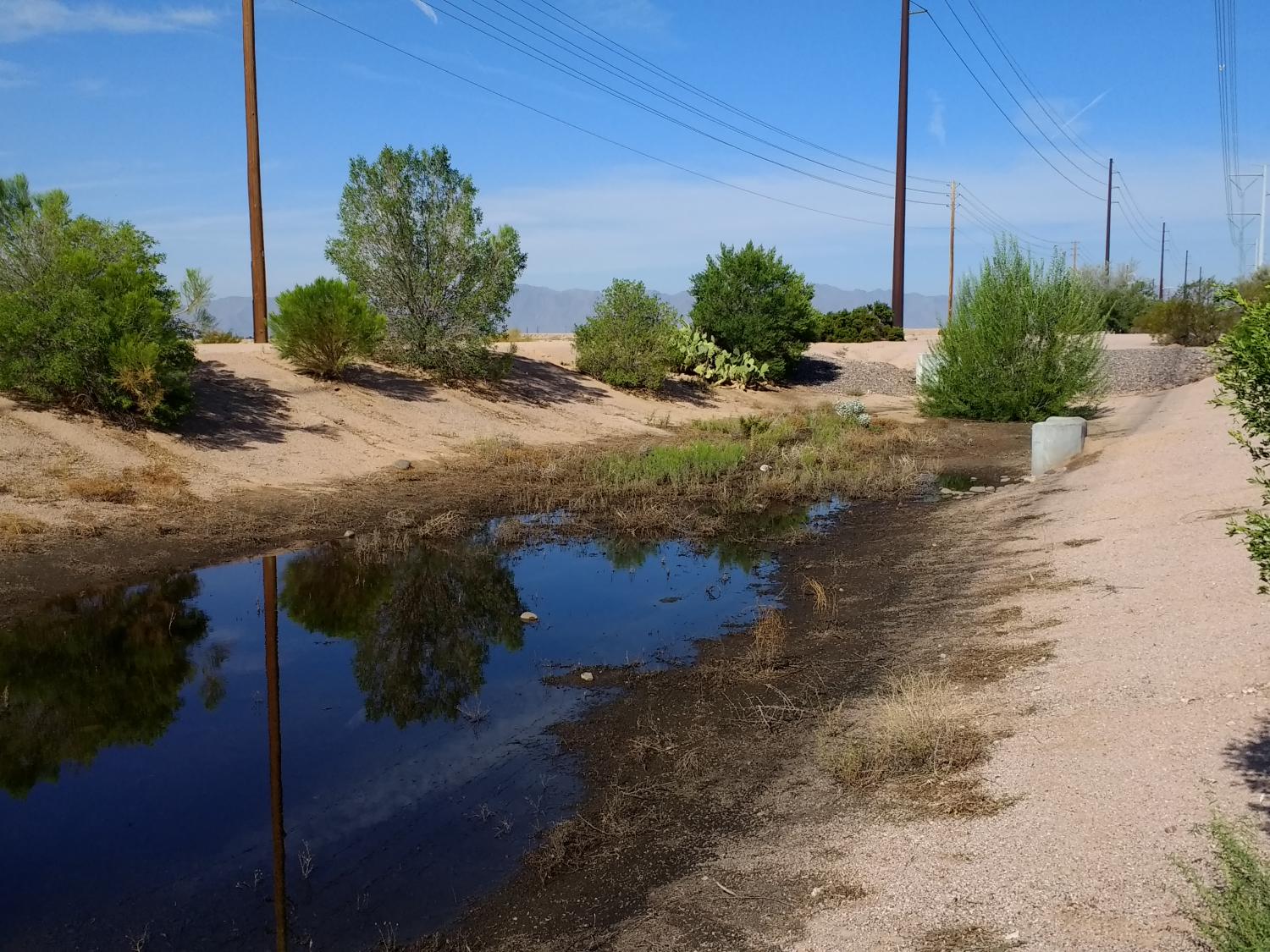 Phoenix, urban runoff 