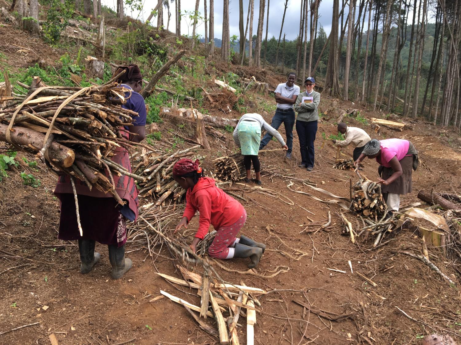 women in the Central Highlands of Kenya
