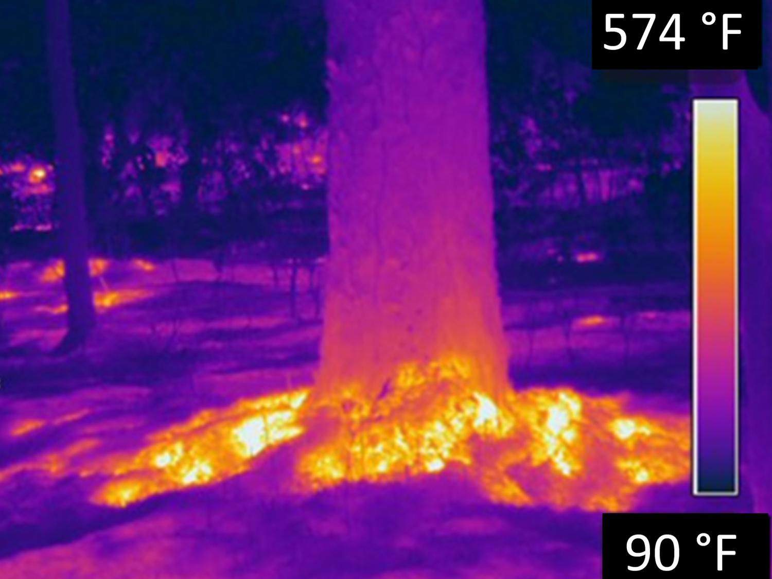 result for fire