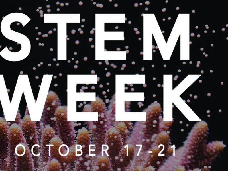 STEM Week 2016