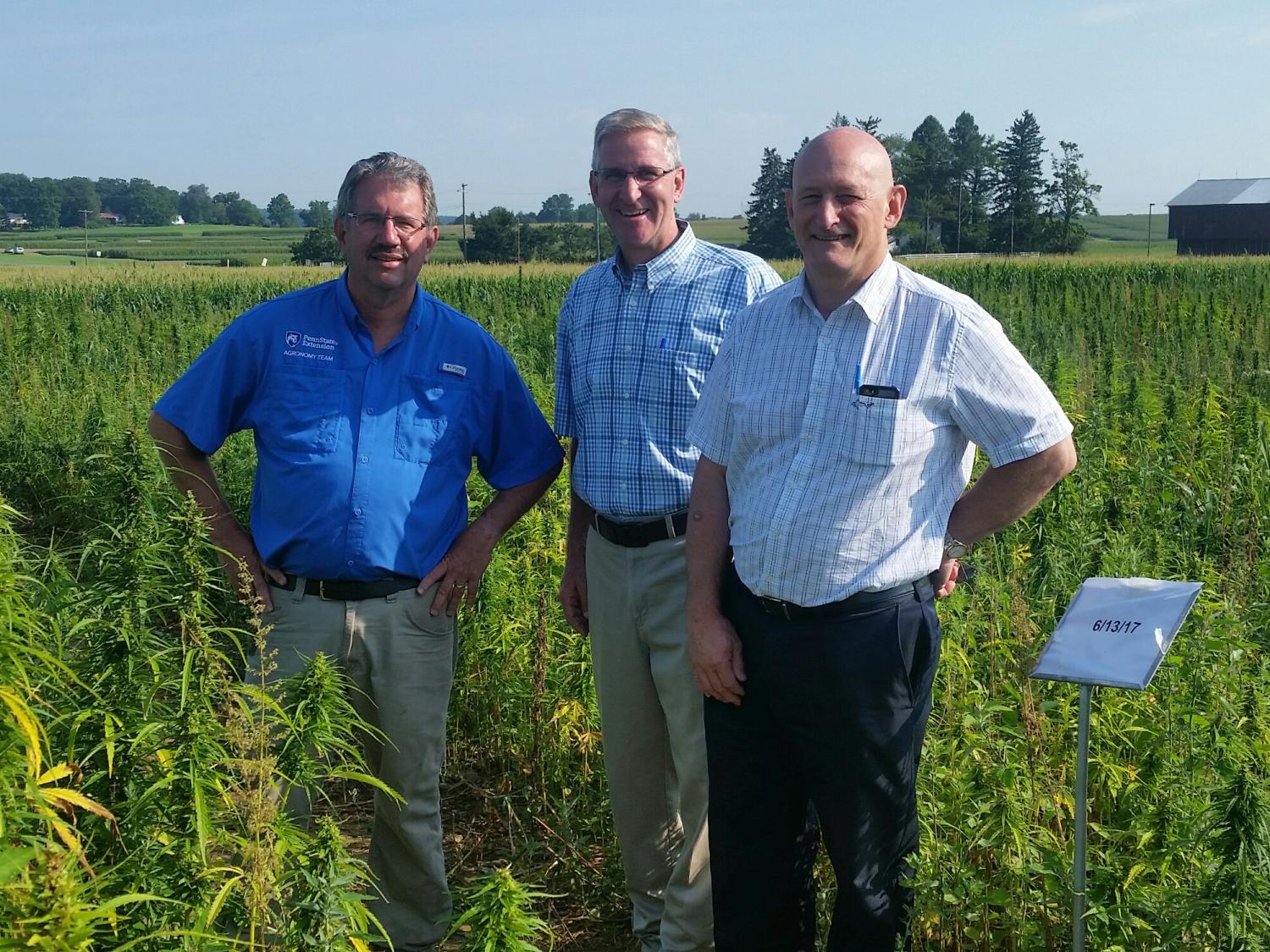 Hemp research apd