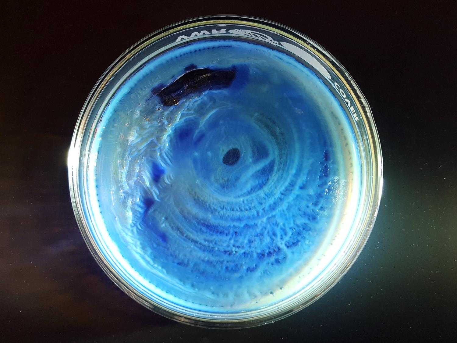 Hickeypolymer1