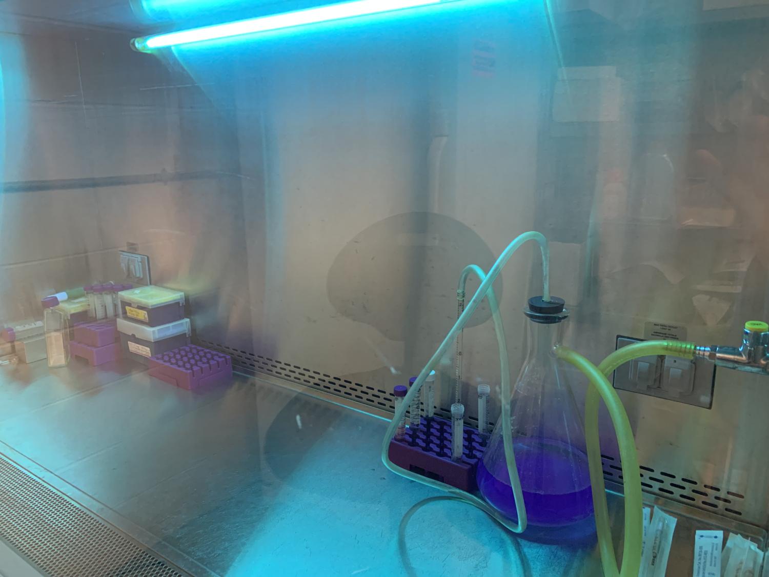 Laboratory hood space with Erlenmeyer flask illuminated by UV light