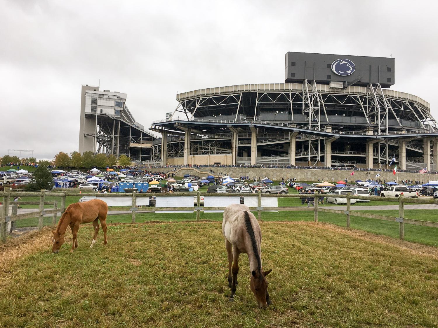 Horses near Beaver Stadium