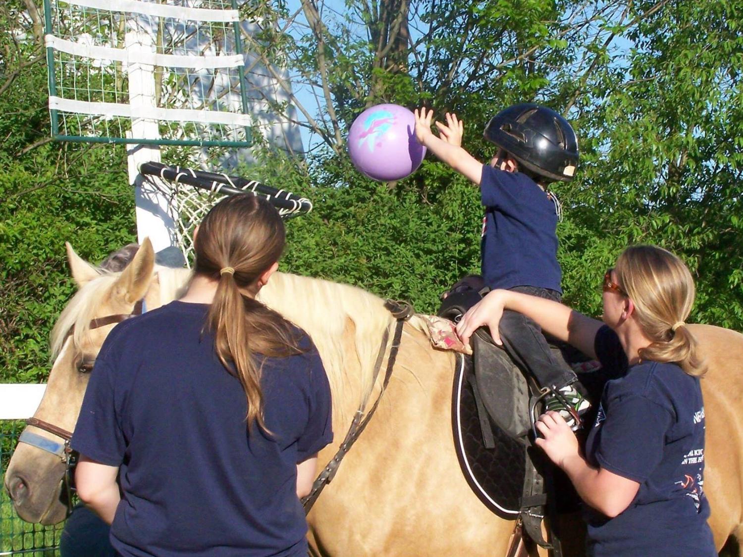 APD equine program pix