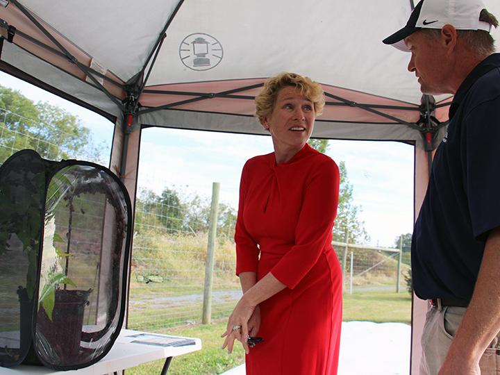 Chrissy Houlanah talks about the spotted lanternfly.
