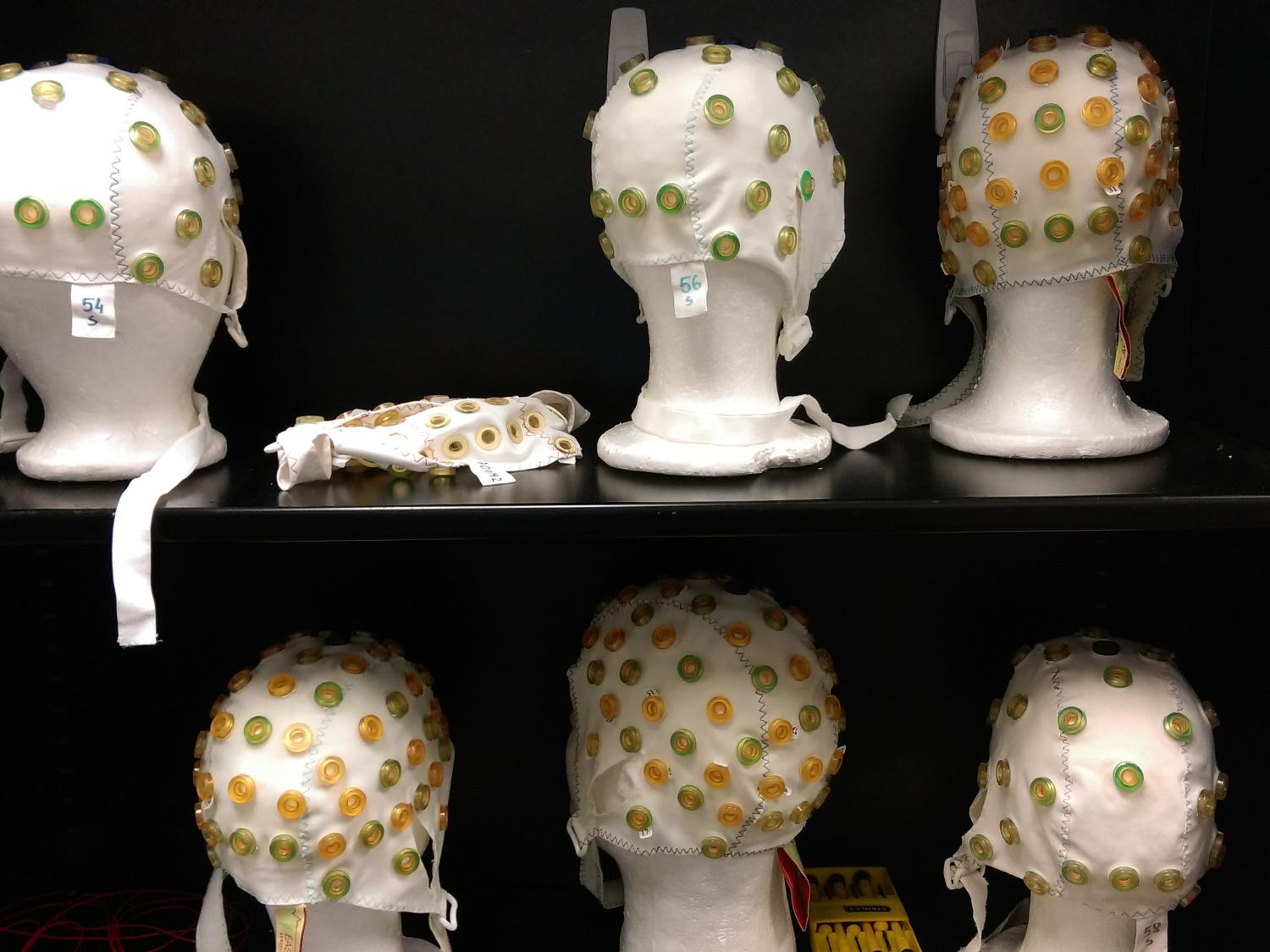 electroencephalogram hoods