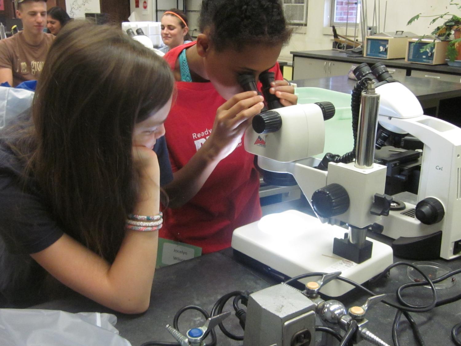 Students look through microscope
