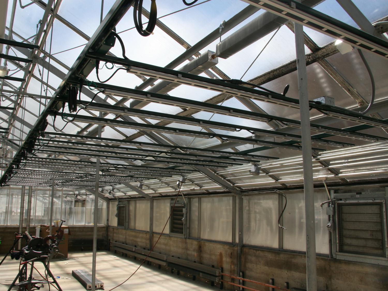 LED lighting in greenhouses