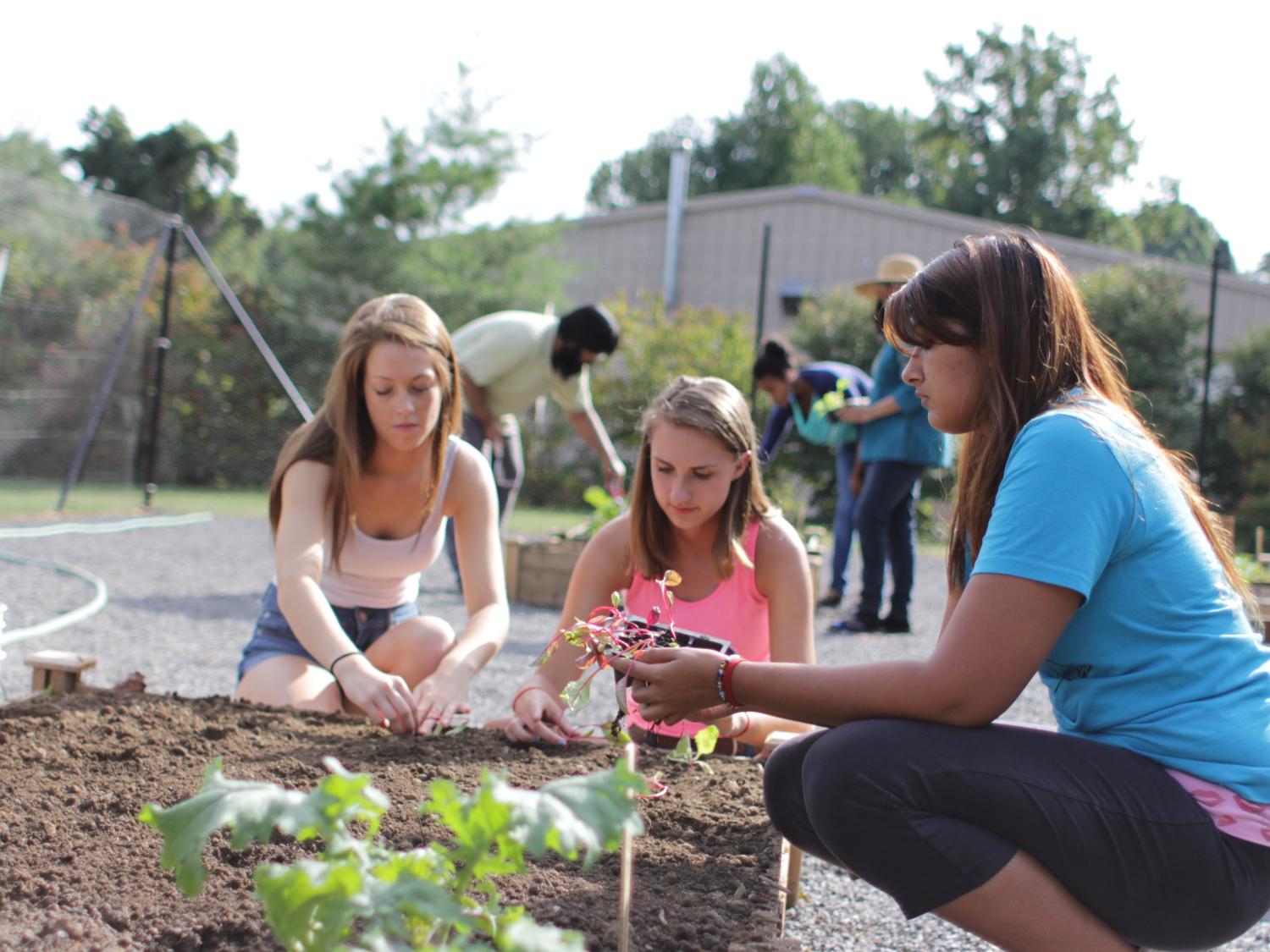 Students working in garden