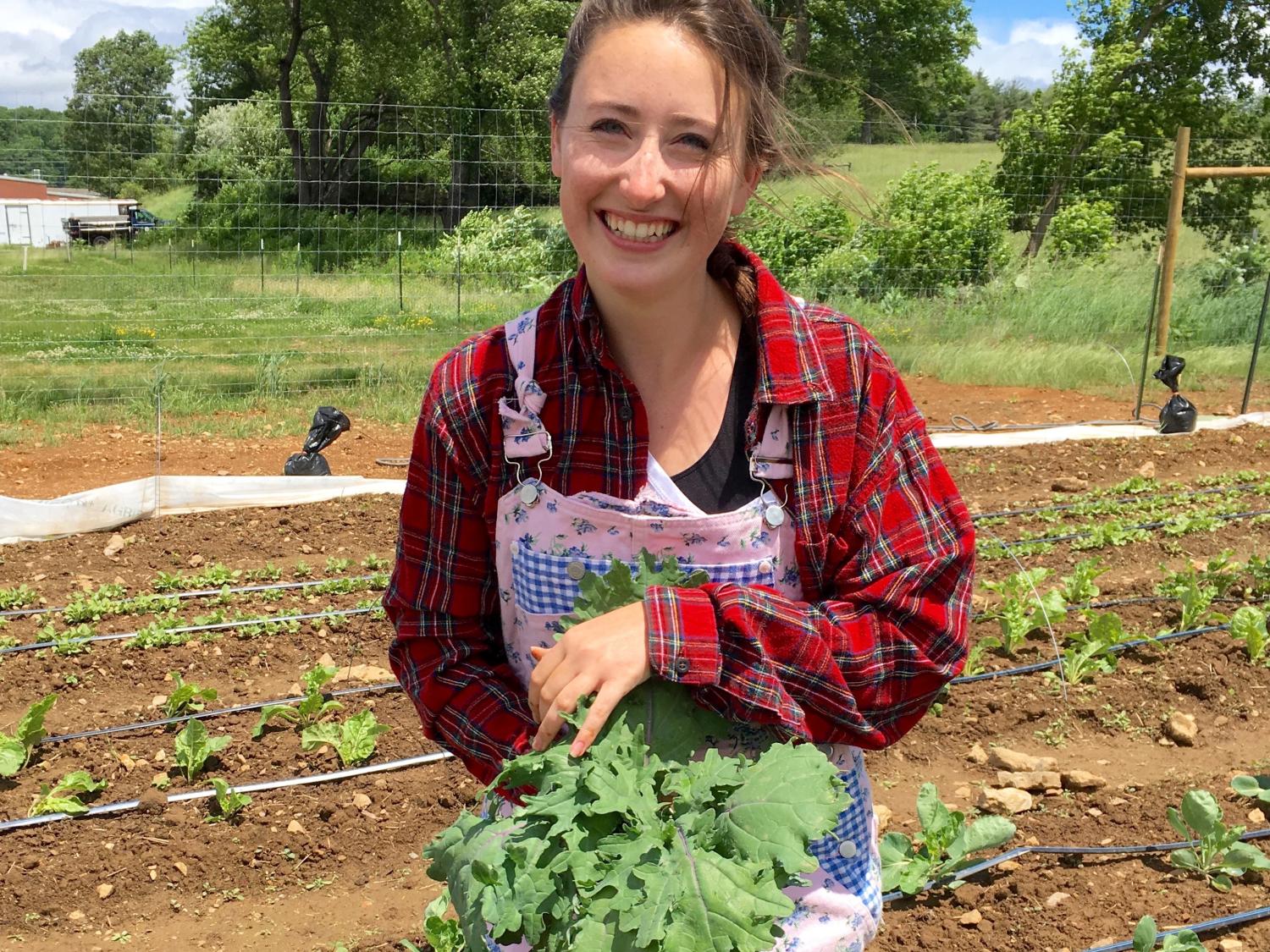 student farm intern harvesting kale