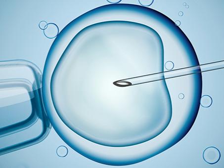 Microscopic view of in-vitro fertilization (IVF)