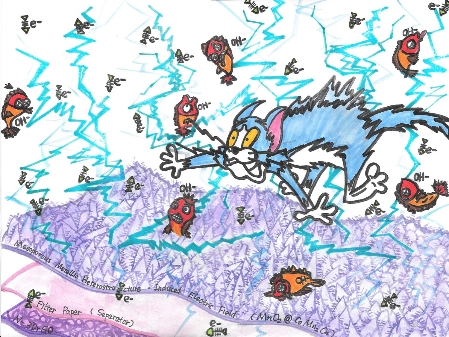 cartoon of crazed cat surrounded by fish and fish bones indicating positive and negative charges