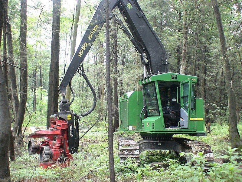 Timber 2017 in-the-woods demo