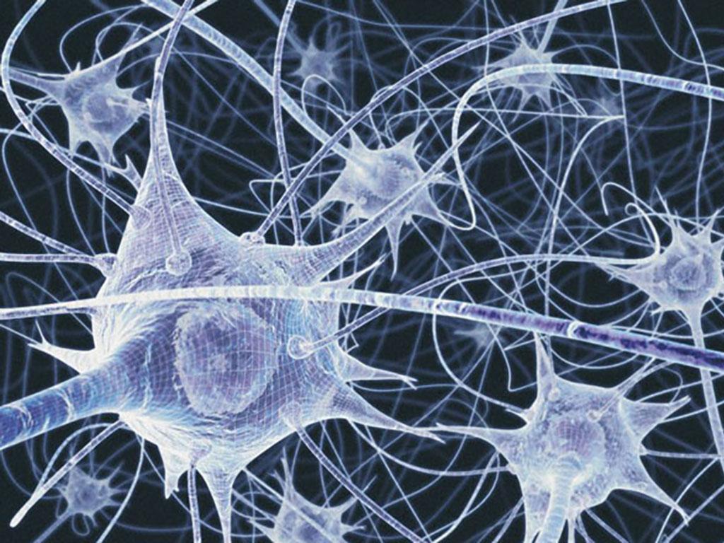 Illustration of neurons
