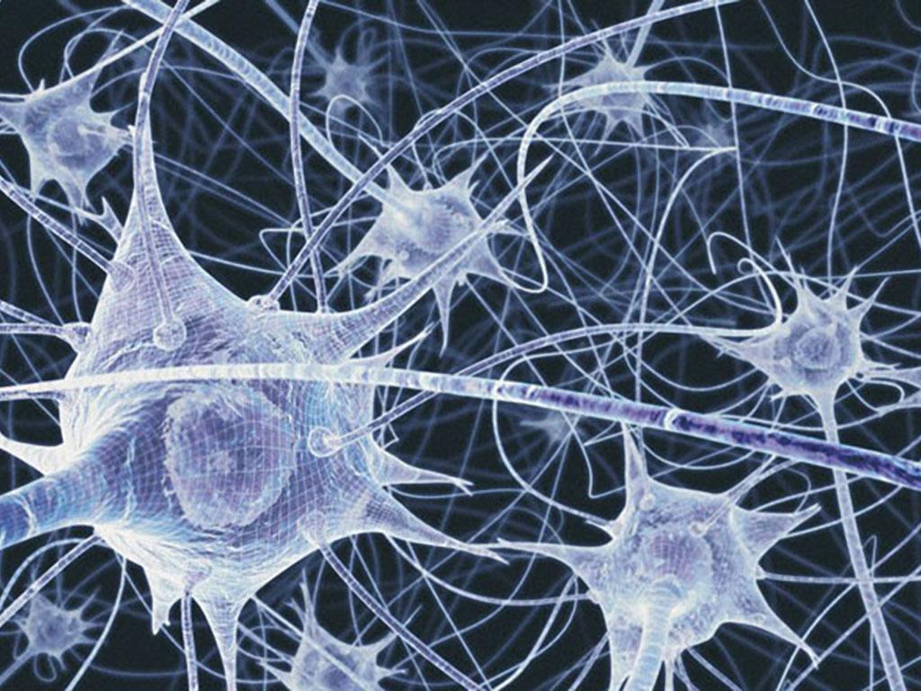 Illustration of neurons
