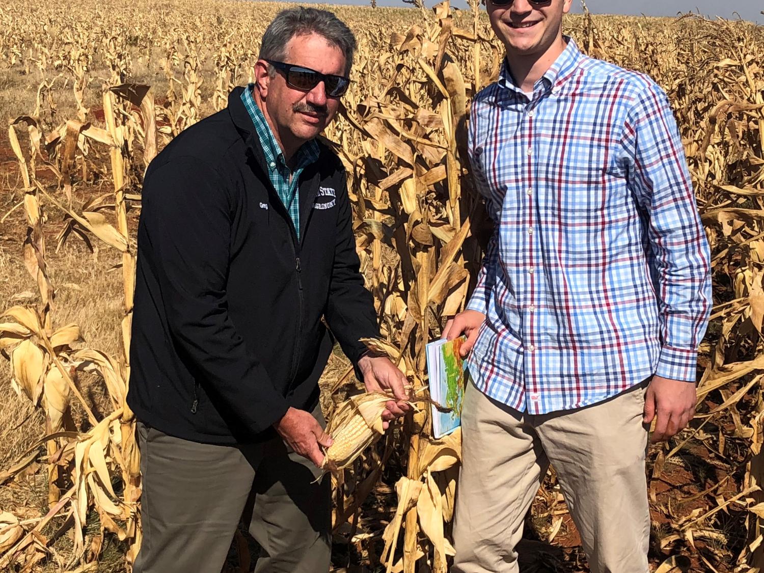 Land O'Lakes internship maize