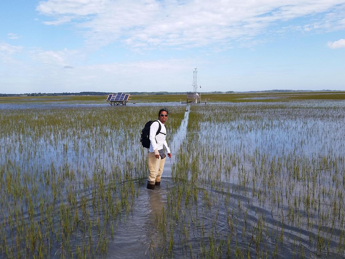 Jesus Ruiz-Plancarte in Virginia salt marsh