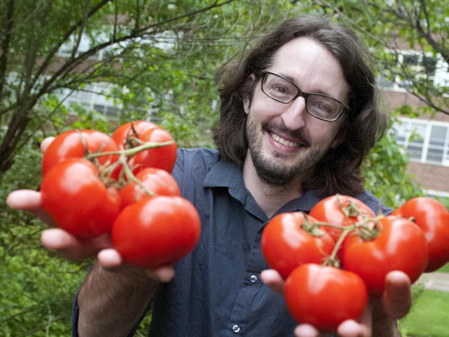 John Hoenig, Tomato Research