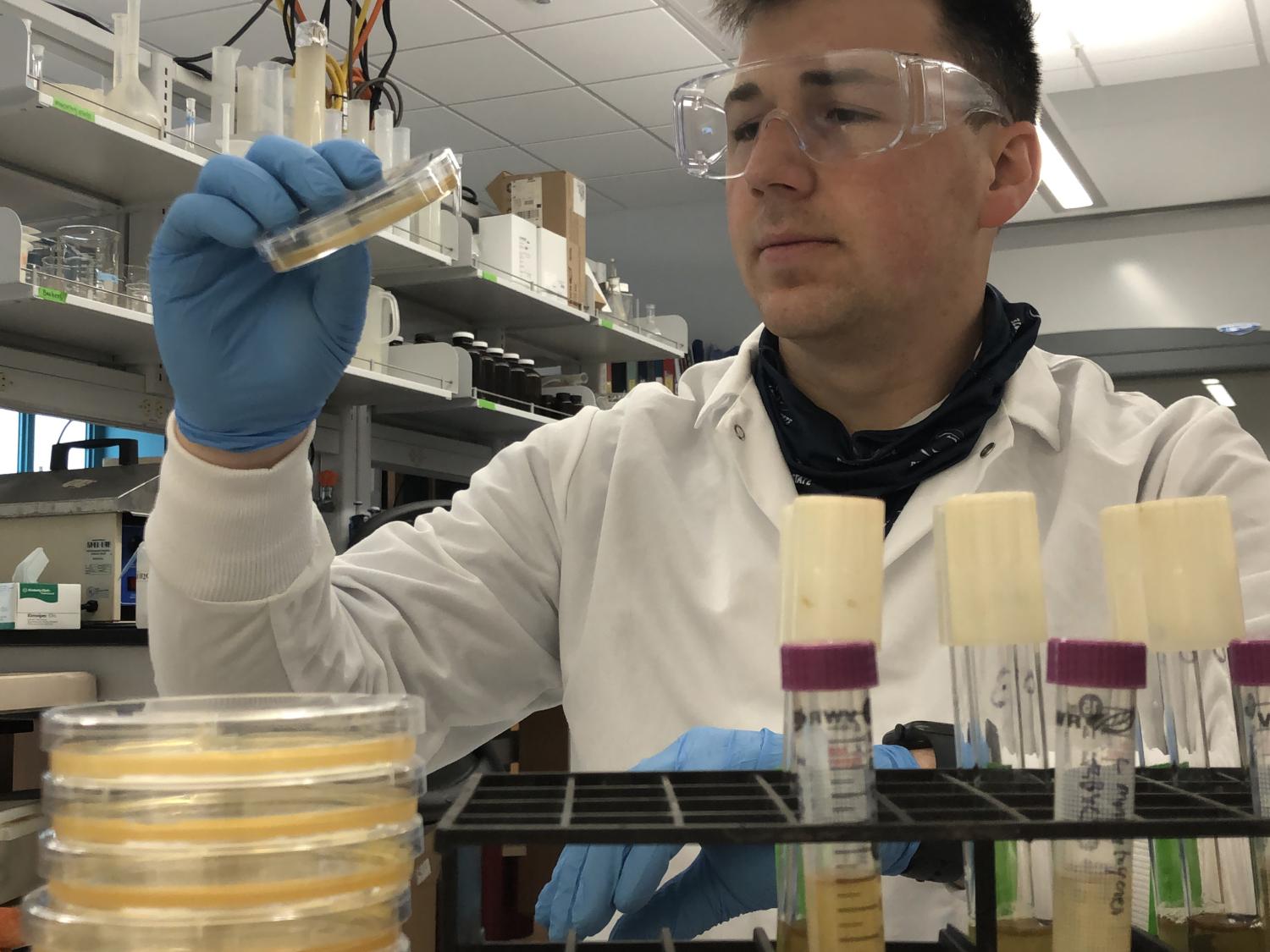 Researcher header