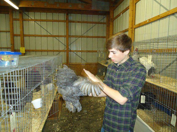 Josh Cassar with chicken