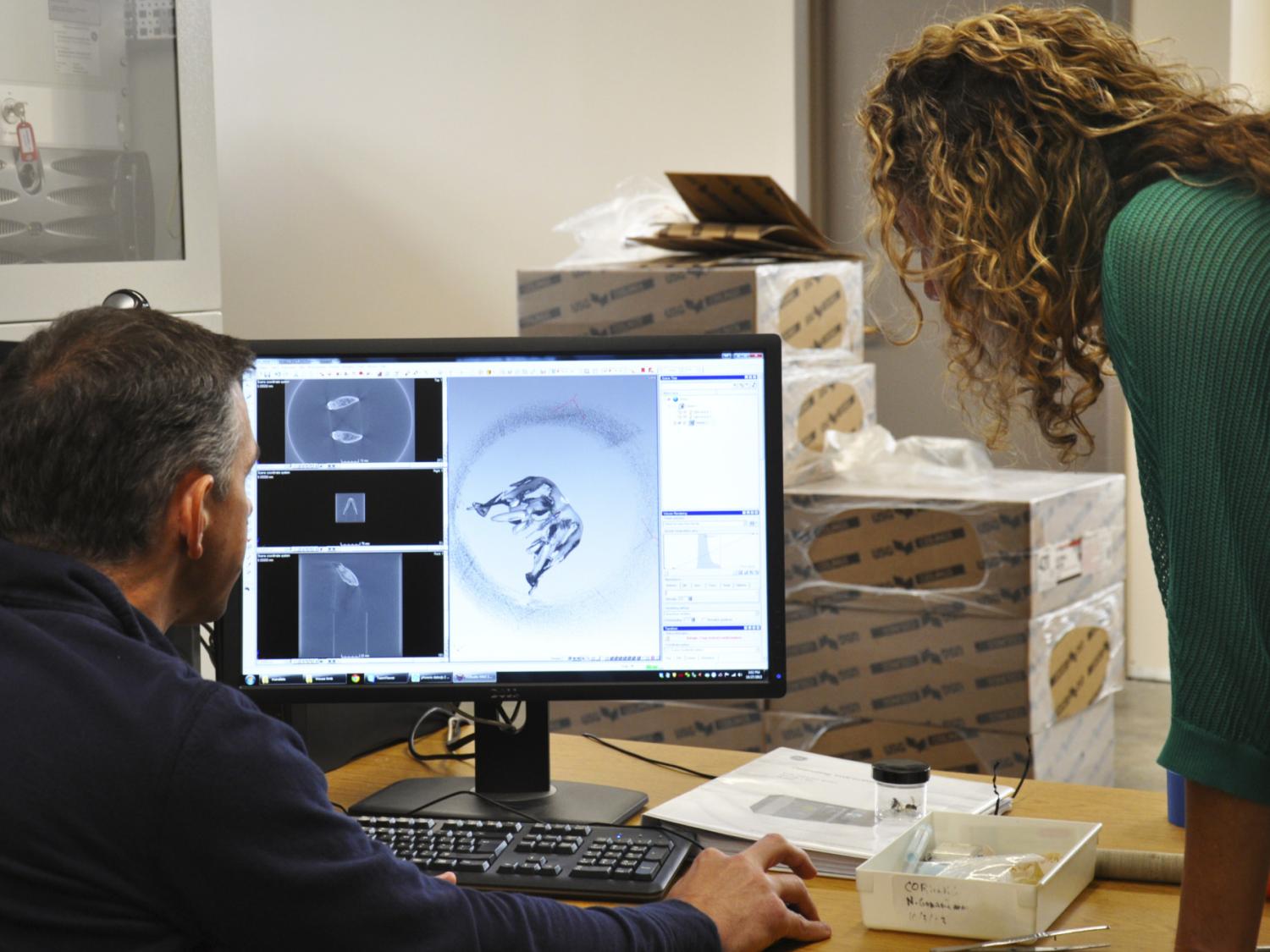 researchers looking at computer scan