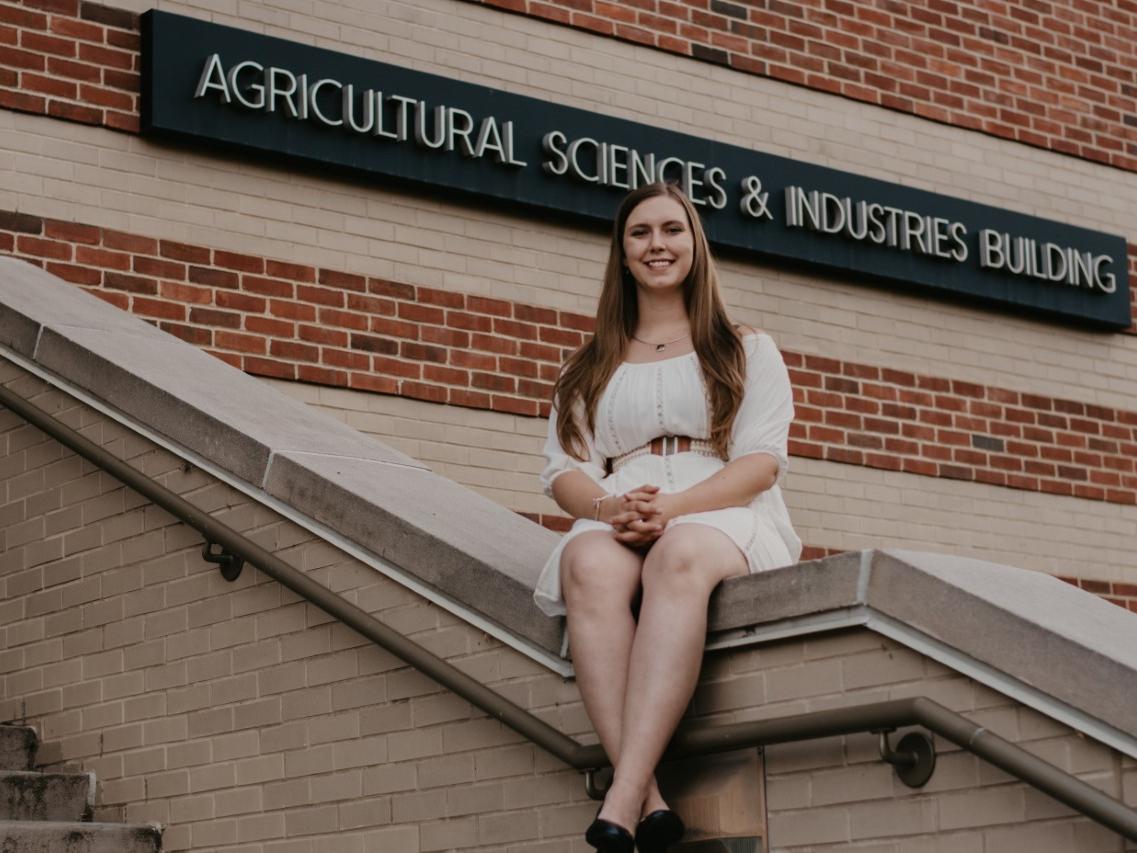 sitting on ASI building wall