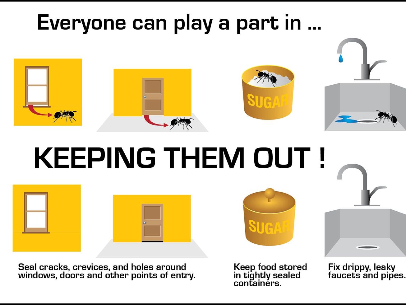 IPM graphic - Keep Insects Out