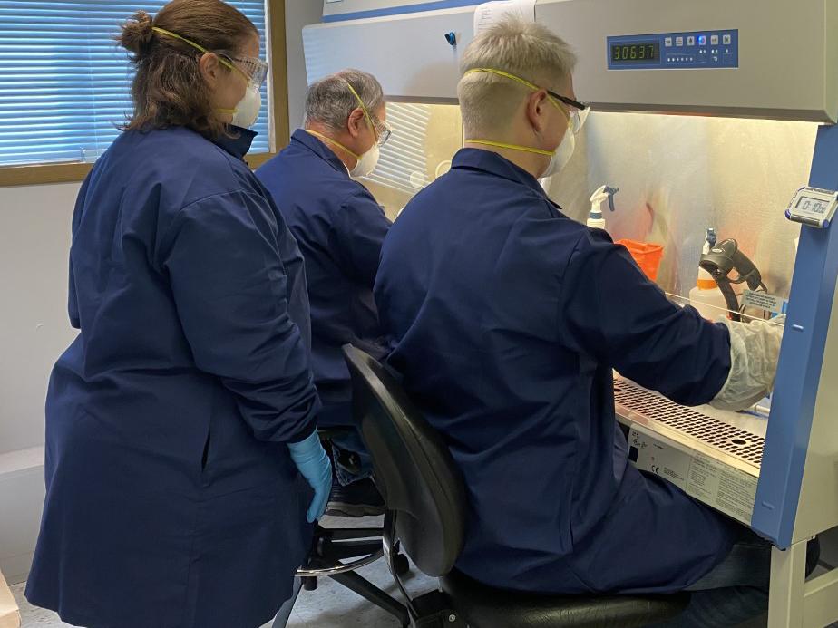 working in the lab