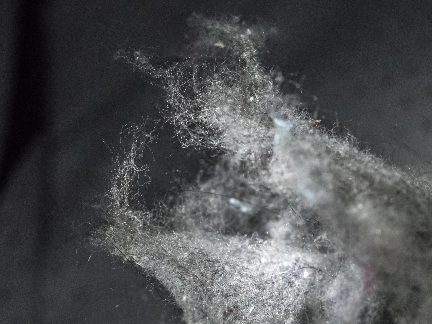 dryer lint close-up