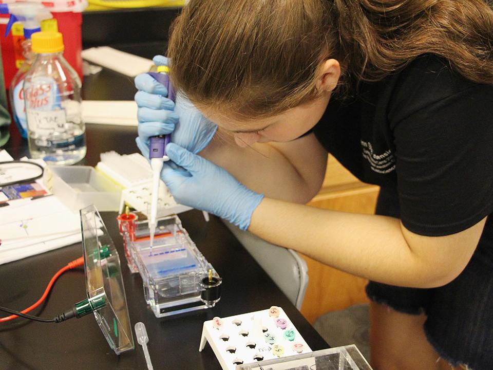 Penn State Lewistown Center electrophoresis 1