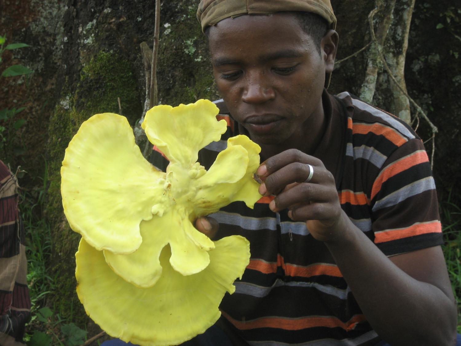 Man with big yellow mushroom.