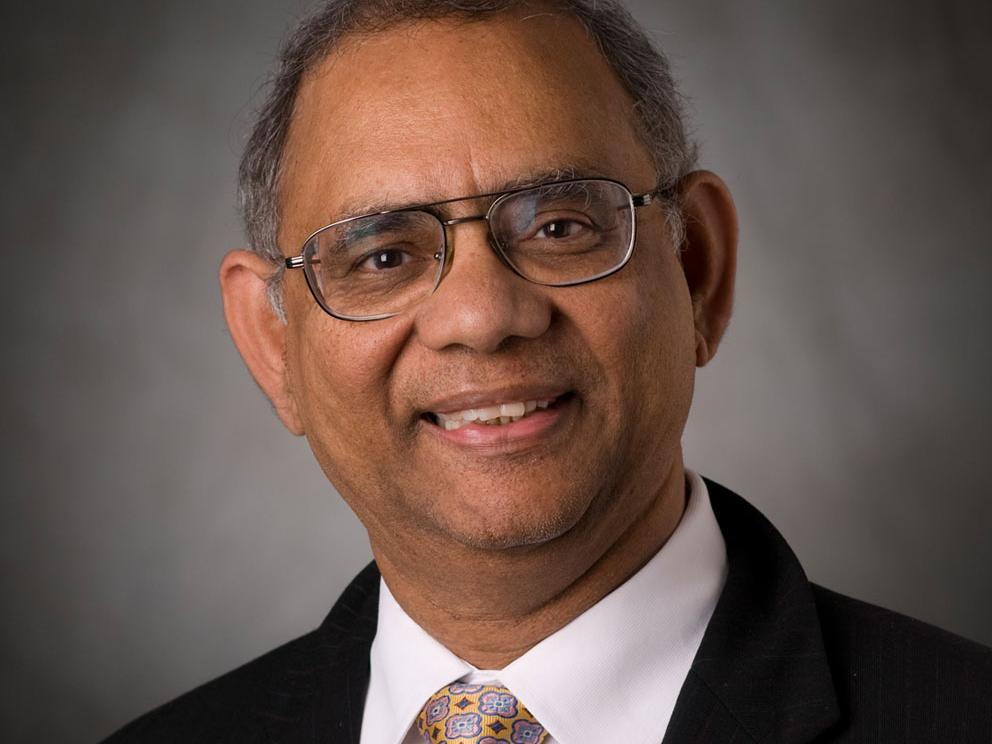 Akhlesh Lakhtakia, Charles Godfrey Binder Professor in Engineering Science and Mechanics