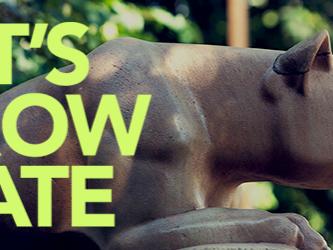 Let's Grow State program image