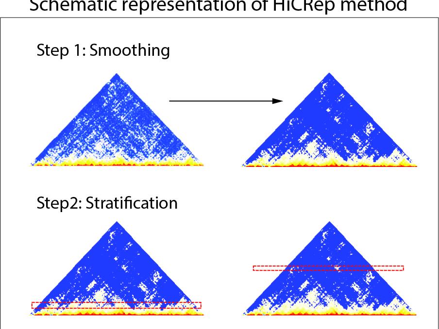 Schematic of HiCRep method