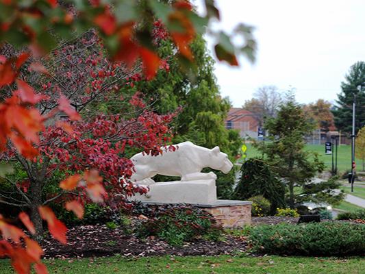 Penn State Mont Alto Lion