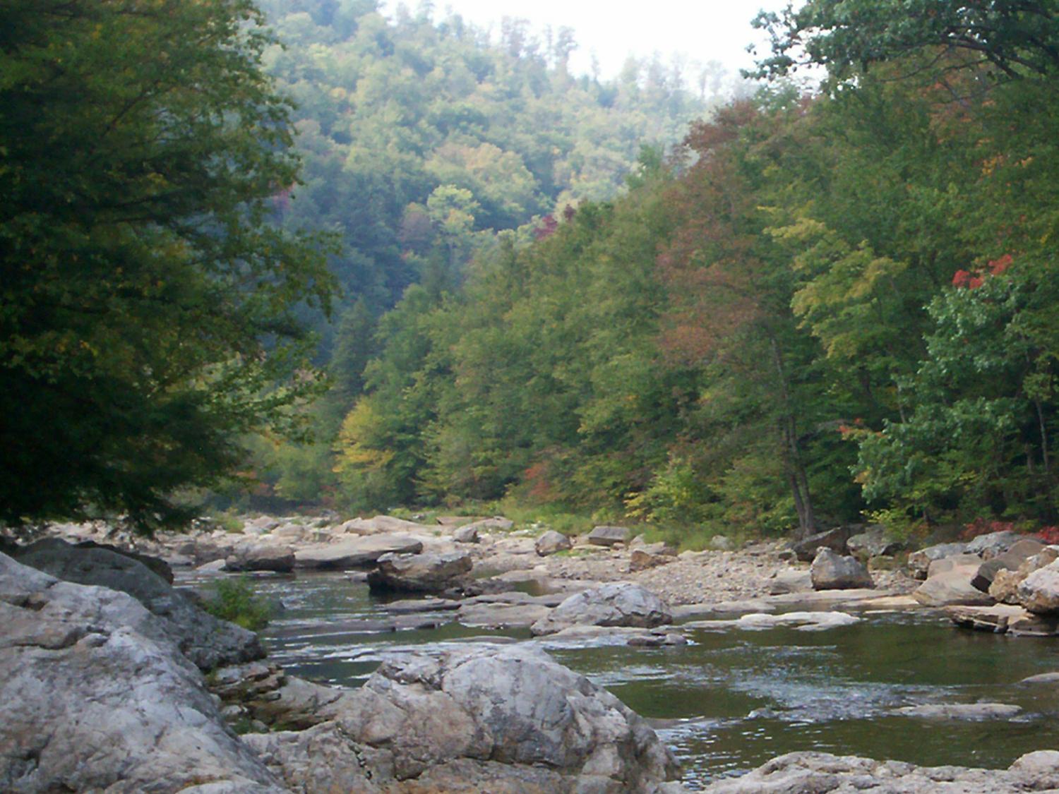 Loyalsock, header