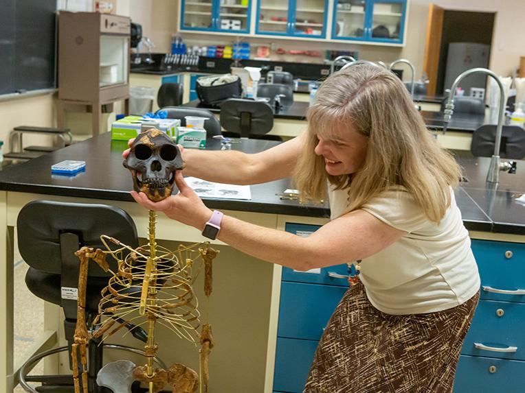 The professor stands to the right of a small skeleton as she assembles its head.