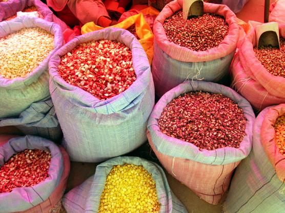 maize