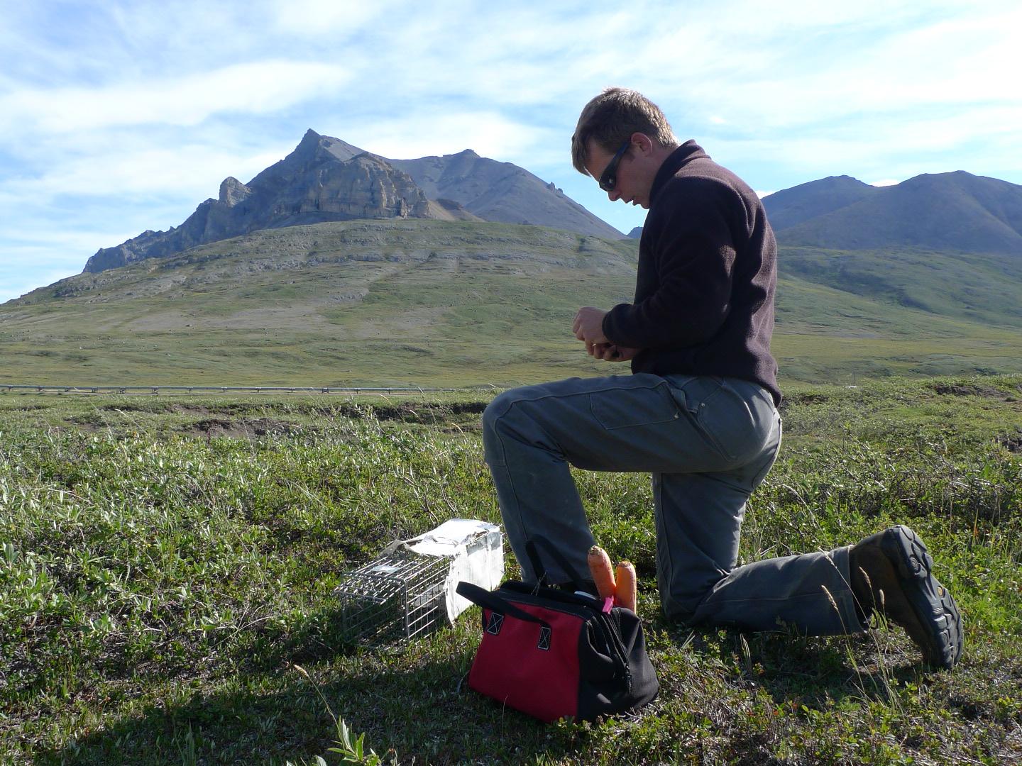 Michael Sheriff setting a squirrel trap