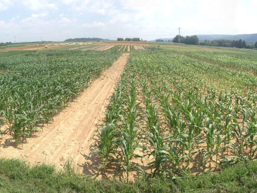 panoramic Larson farm