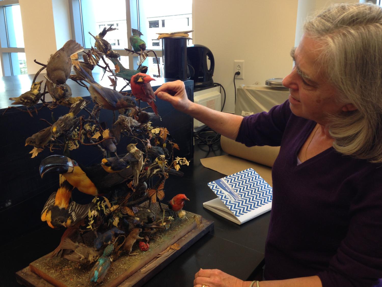 professor and mounts