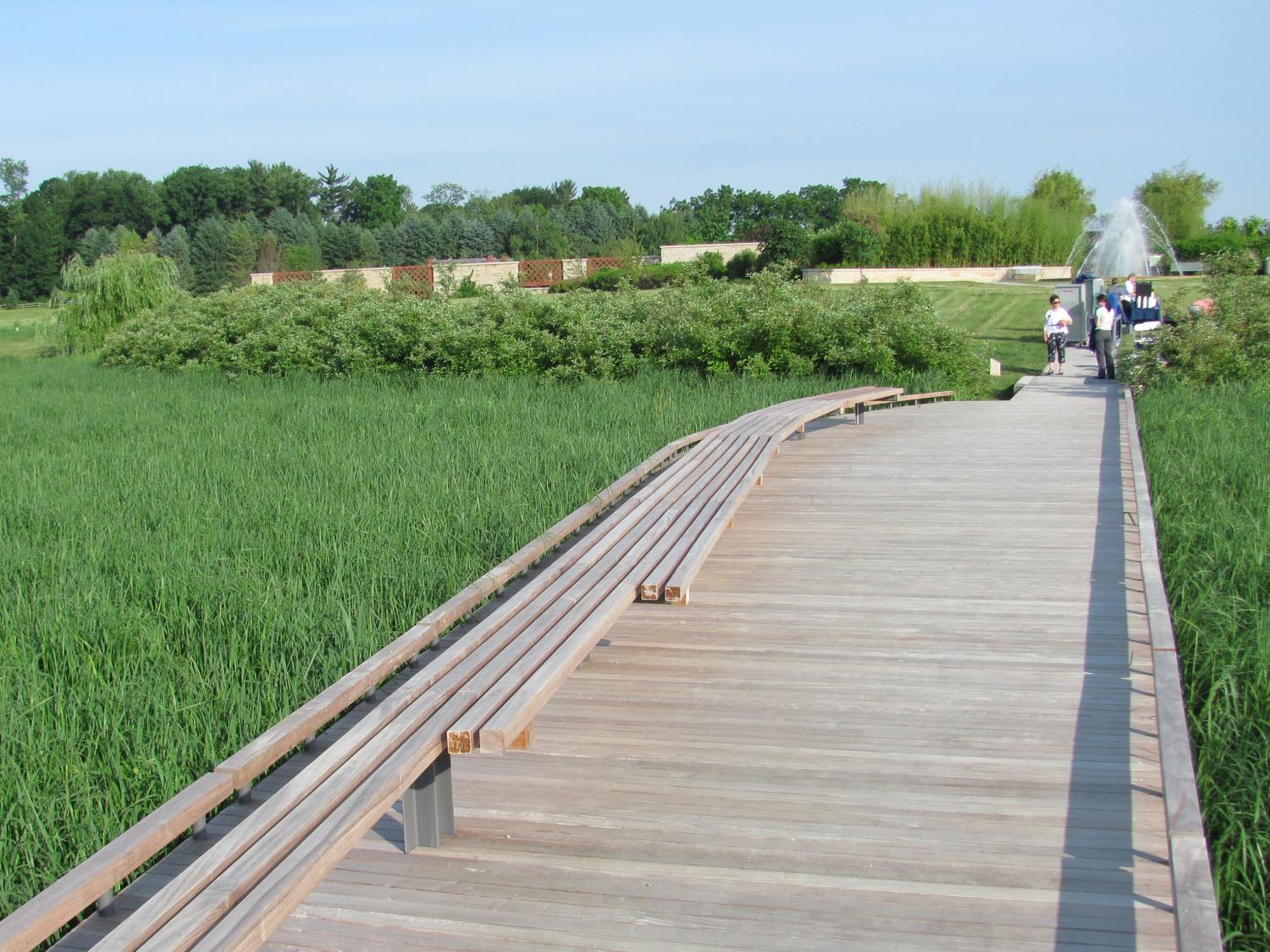 Marsh Meadow Boardwalk at the Arboretum at Penn State