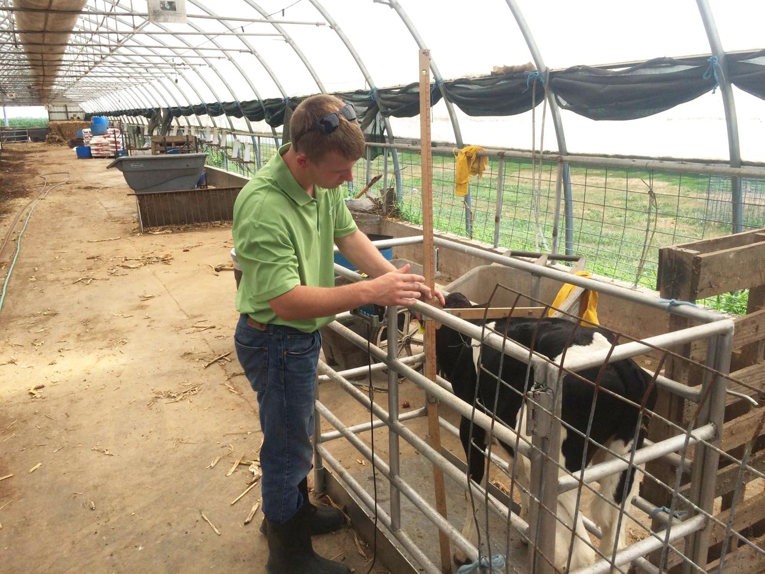 student story, Cargill internship
