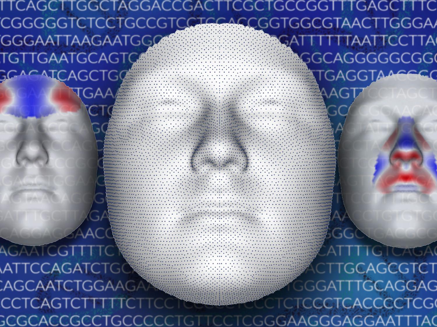 Three 3D facial images showing grid and point locations.